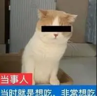 raja slots Kucing mutan yang menderita dua tendangan berturut-turut dari Wang Zirui